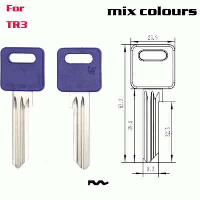 F-366 New Plastic TR3 FIVE Clours house key blanks Suppliers