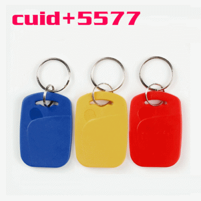 o-029 CUID+5577 keychain, 2-in-1 IDIC access card/elevator card