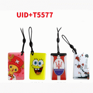 O-033 iDIC Composite Cartoon Epoxy Card T5577+UID (Reusable)