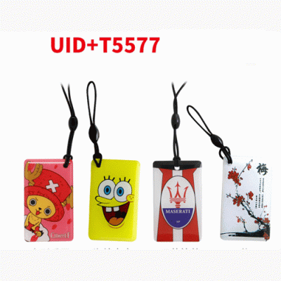 O-033 iDIC Composite Cartoon Epoxy Card T5577+UID (Reusable)