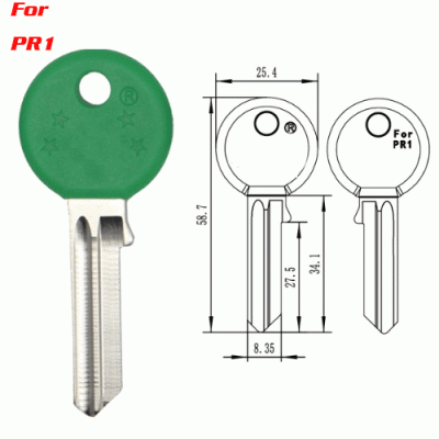 F-385 New design Plastic FOR PR1 key blanks manufacturer China