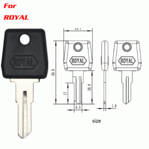 F-388 New design Plastic FOR ROYAL key blanks Suppliers China
