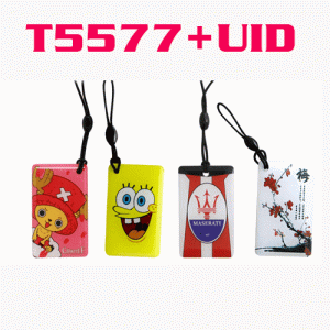 O-028 IDIC Composite Cartoon Epoxy Card T5577+UID Rewritable