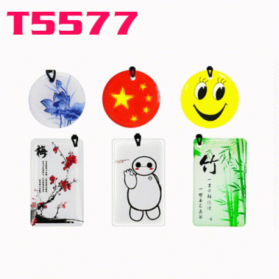 O-031 T5577 Card ID Copy Cartoon Epoxy Card, T57-6 Erasable