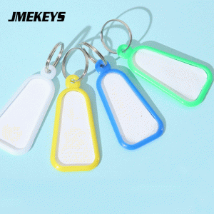 N-020 New design Plastic key Tags
