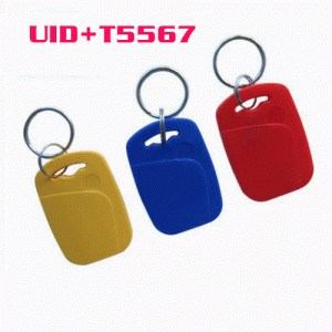 o-030 UID+T5567 Composite Keychain